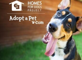 Coldwell Banker Again Teams With Adopt-a-Pet.com for ‘Homes for Dogs’ National Adoption Weekend