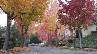 Why Fall Is A Great Time To Sell