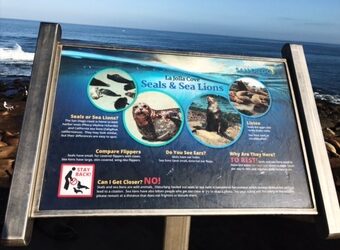 A New Sign At La Jolla Cove About The Sea Lions & Seals