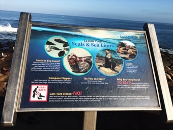 A New Sign At La Jolla Cove About The Sea Lions & Seals